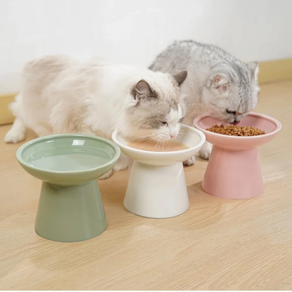 Elevated Green Pet Bowl